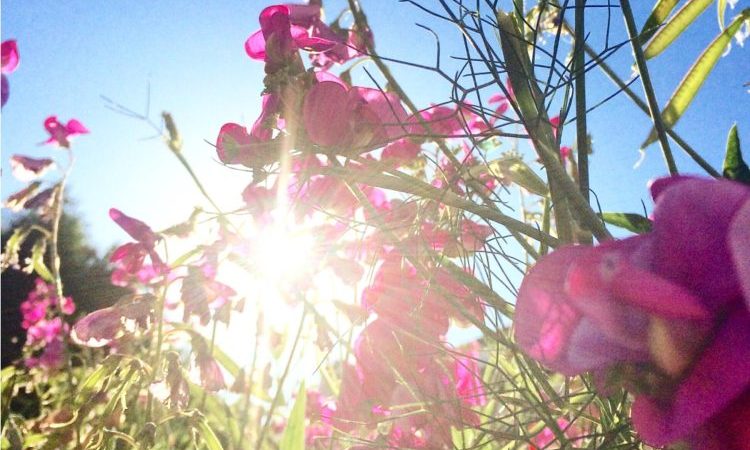 18 astuces pour se rafraîchir ❄️ quand il fait chaud !