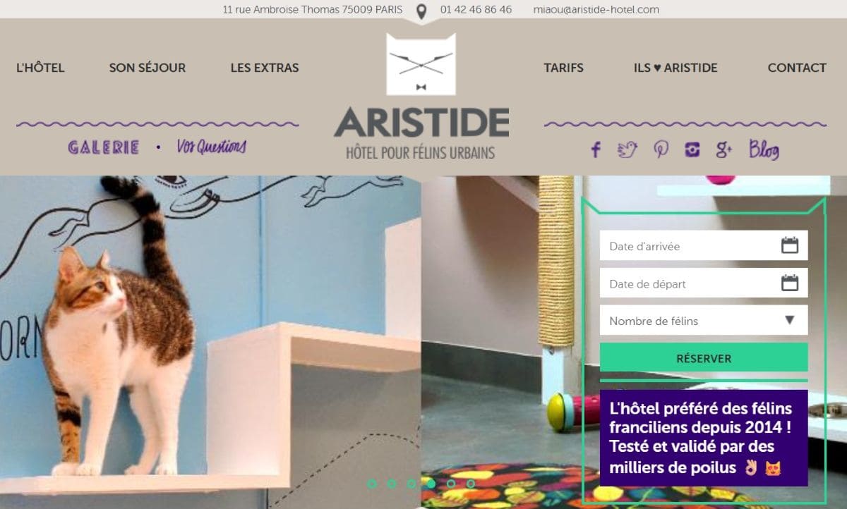 exemple hotel pour chat aristide a paris