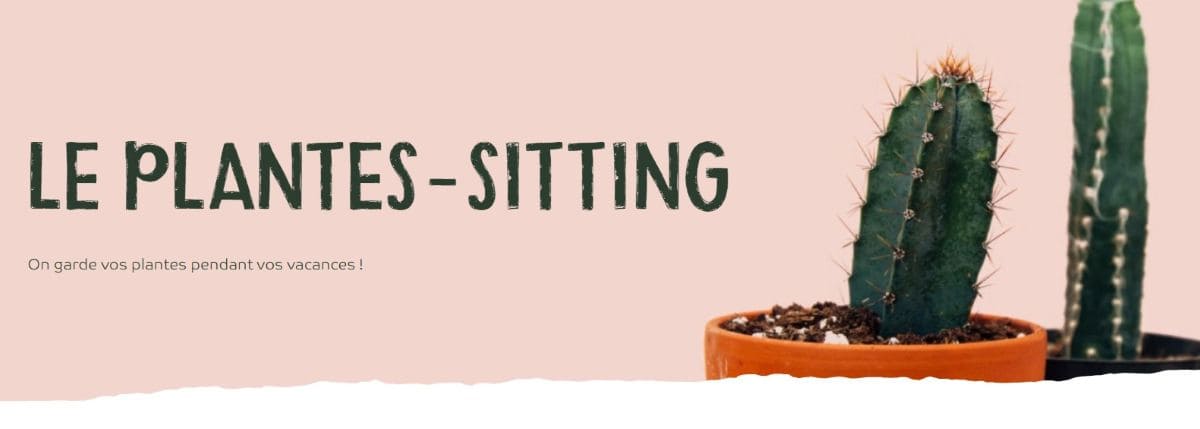 conditions pour profiter du service de plantes-sitting