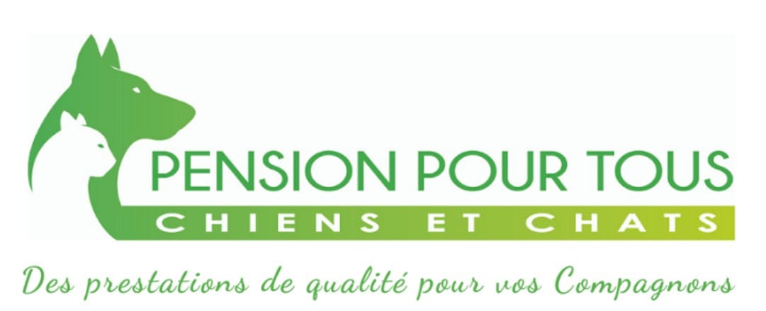garde de chat dans les pensions pour animaux