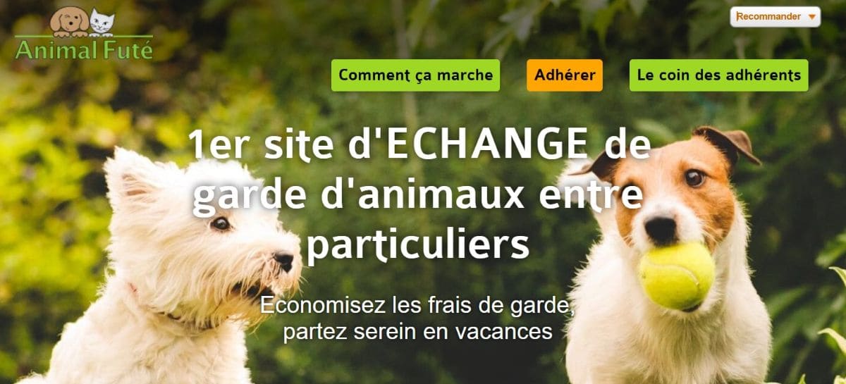 site echange garde animaux appele animal fute