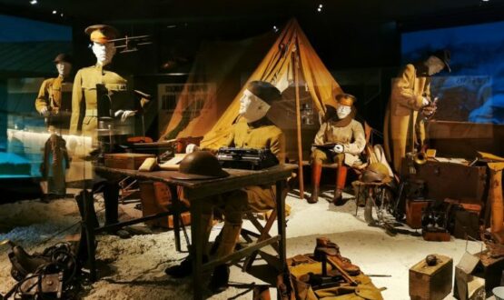 Expérience immersive au Musée de la Grande Guerre de Meaux