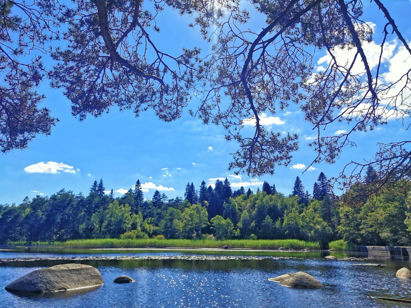 tarn - Sidobre - Lac du merle