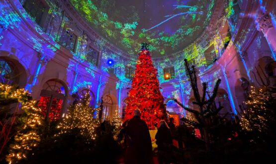 Le sublime château de Vaux-le-Vicomte à Noël