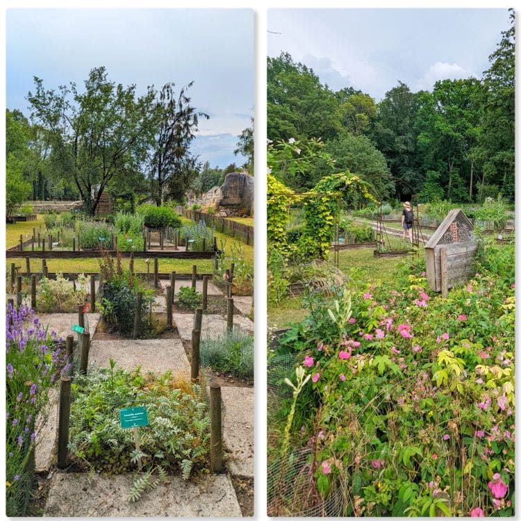 Week-end à vélo sur la voie verte de l'Ailette jardin medicinal de l abbaye de vauclair