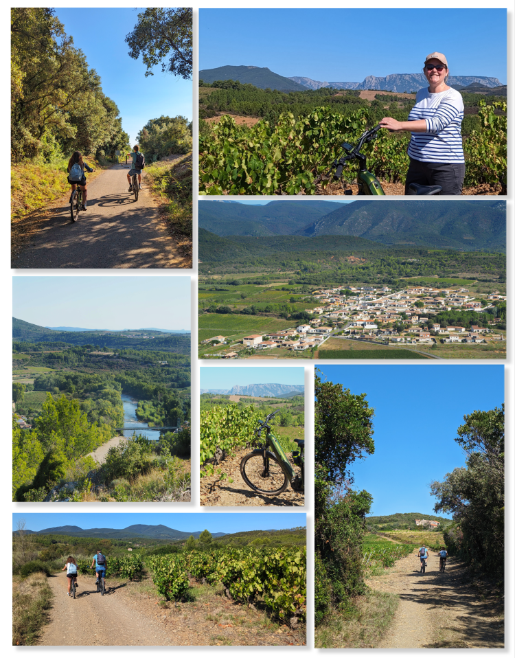 balade-velo-dans-les-vignes-saint-chinian-750