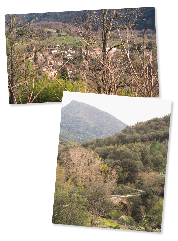 paysages-entre-herepian-et-lamalou-les-bains