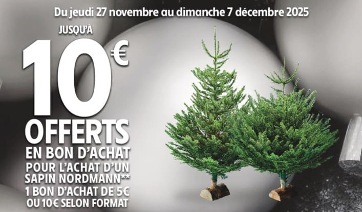 6 bons plans pour sapin de Noël naturel 2025 promotion sapin de noel intermarche 2025