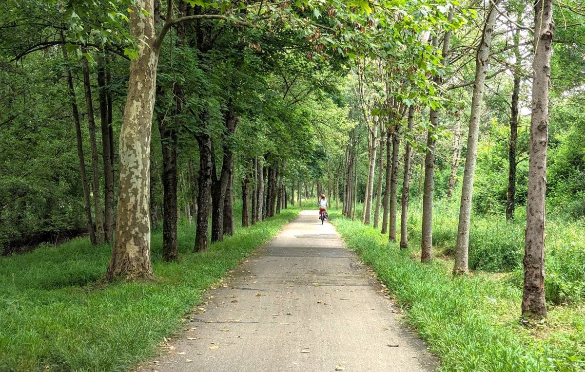 Explorez la Bourgogne du Sud en suivant la CycloRoute71 ! foret sur la cycloroute71 en bourgogne