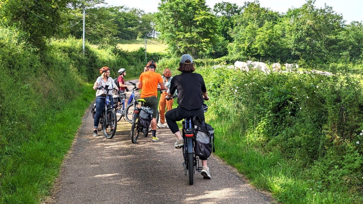 Explorez la Bourgogne du Sud en suivant la CycloRoute71 ! paysages de la cycloroute 71