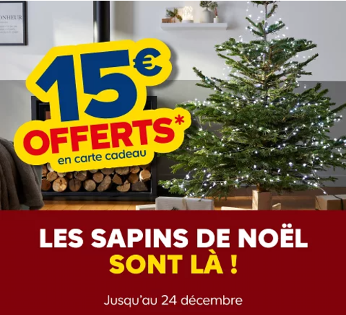 offre-sapin-de-noel-castorama-2024