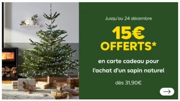 6 bons plans pour sapin de Noël naturel 2025 promotion sapin de noel castorama 2025