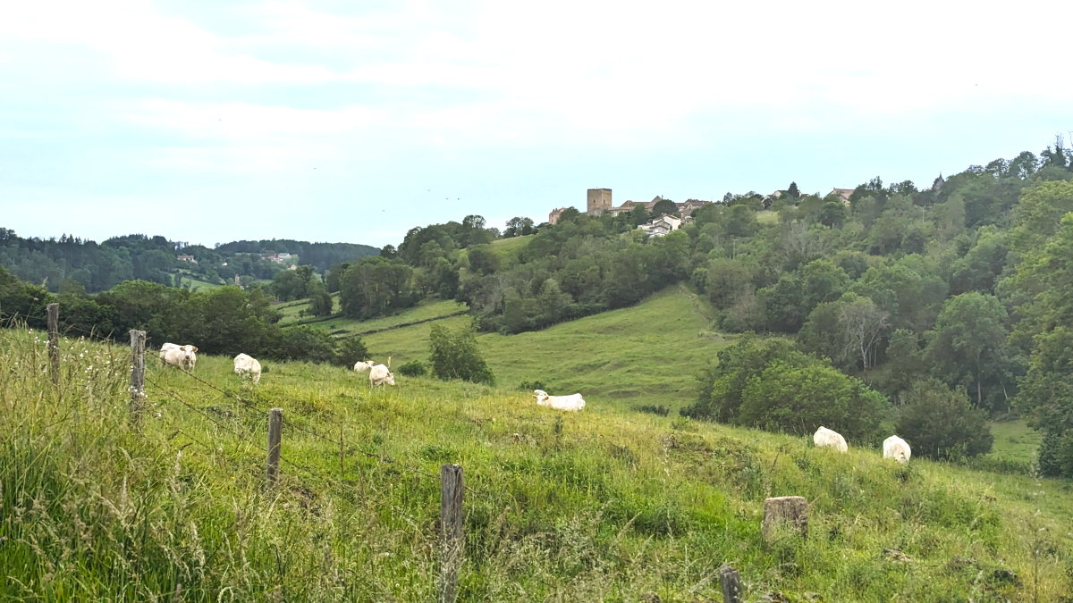 paysages-route-71-velos-apres-semur