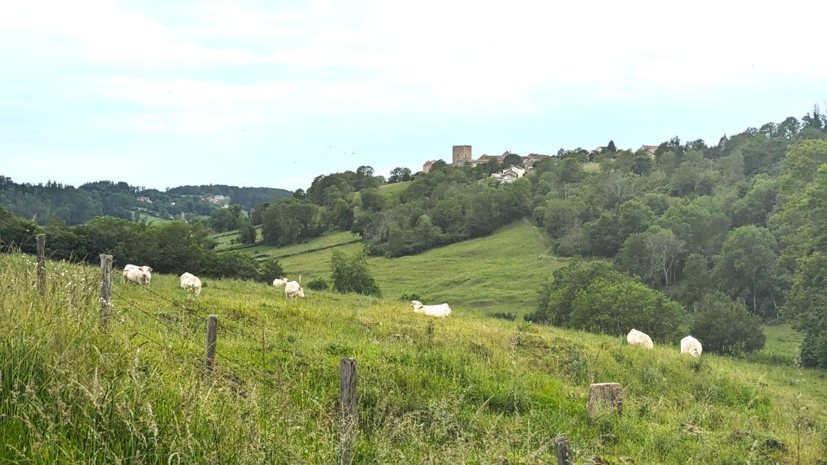 Explorez la Bourgogne du Sud en suivant la CycloRoute71 ! paysages sur la cycloroute 71