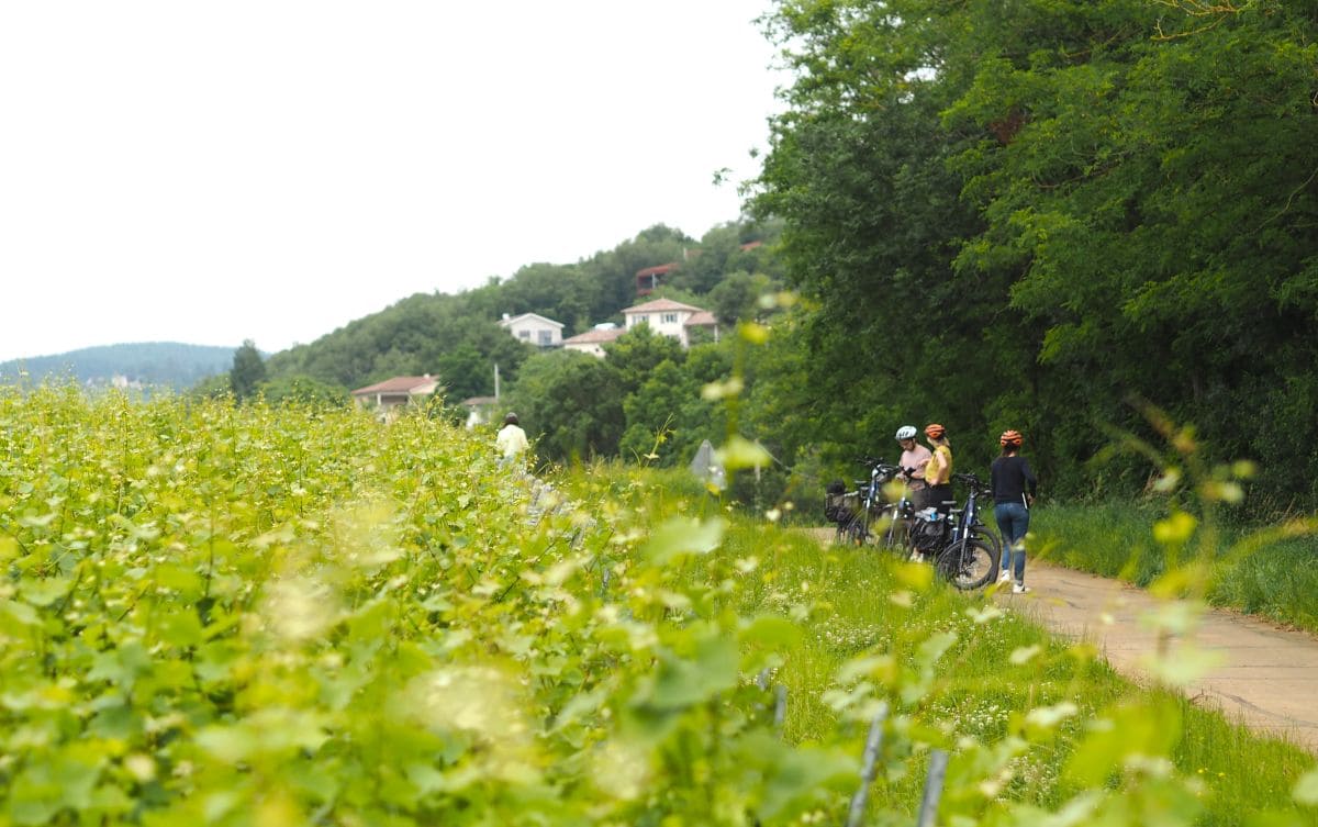 Explorez la Bourgogne du Sud en suivant la CycloRoute71 ! Cycloroute71 cycloroute de bourgogne