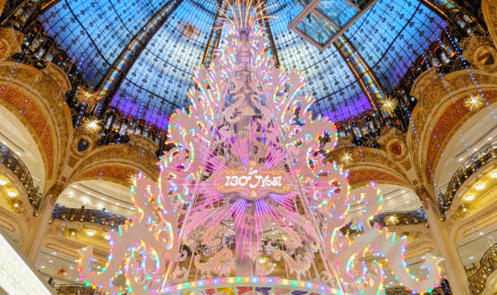 Illuminations de Noël à Paris 2024 !