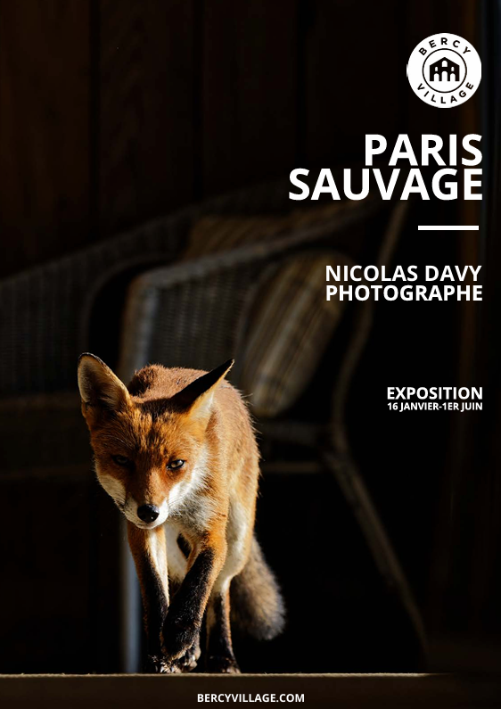 Paris Sauvage nouvelle expo photo gratuite voir Bercy Village