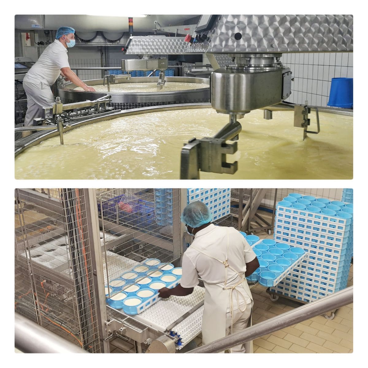 La route des fromages de Savoie 🧀| Activités et bonnes adresses ! fruitiere du parmelan en savoie