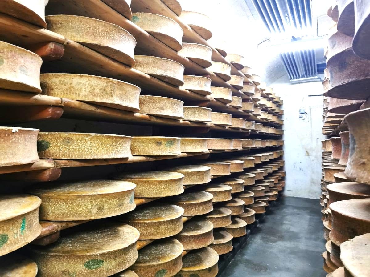 La route des fromages de Savoie 🧀| Activités et bonnes adresses ! caves beaufort de la cooperative du beaufortain