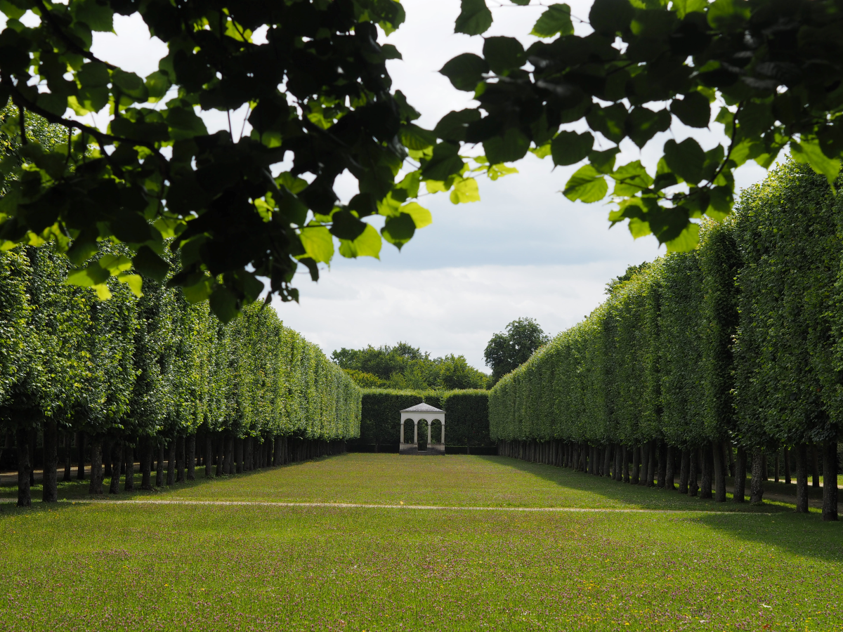 Visiter Compiègne (Oise) incontournables bons plans