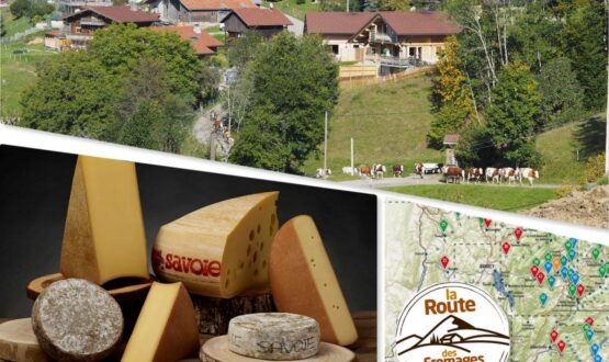 La route des fromages de Savoie 🧀| Activités et bonnes adresses !