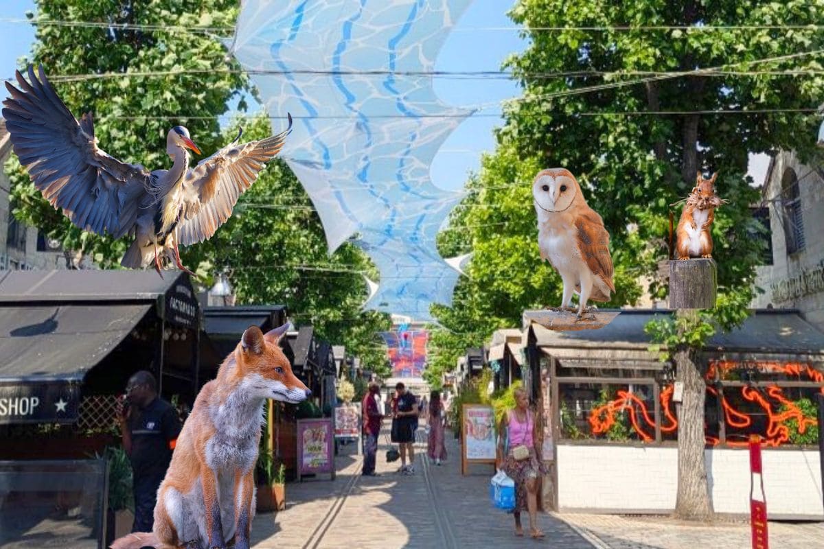 Paris Sauvage : la nouvelle expo photo gratuite à voir à Bercy Village bercy village exposition photo gratuite paris sauvage