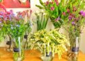 12 bons plans fleurs pas chères à Paris