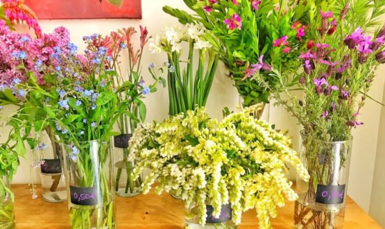 12 bons plans fleurs pas chères à Paris