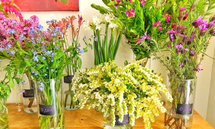 12 bons plans fleurs pas chères à Paris