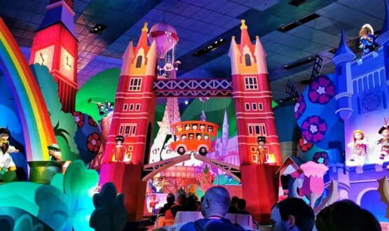 30 astuces pour une journée à Disneyland merveilleuse !