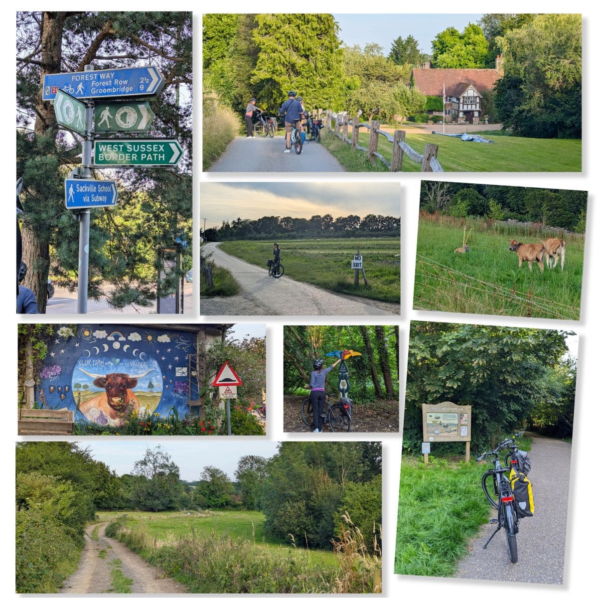 Londres-Paris à vélo : Guide et récommandations pour un voyage mémorable forest way avenue vert london paris cote anglais