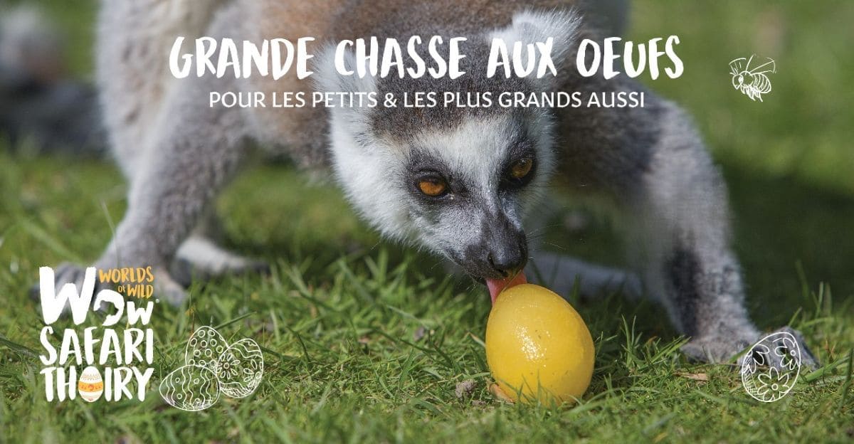 18 chasses aux oeufs 2026 Paris et Ile-de-France ! grande chasse aux oeufs thoiry