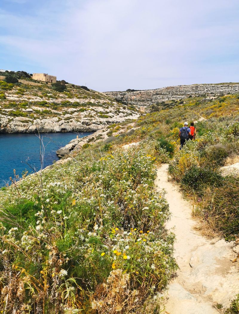 randonnee gozo malte 800