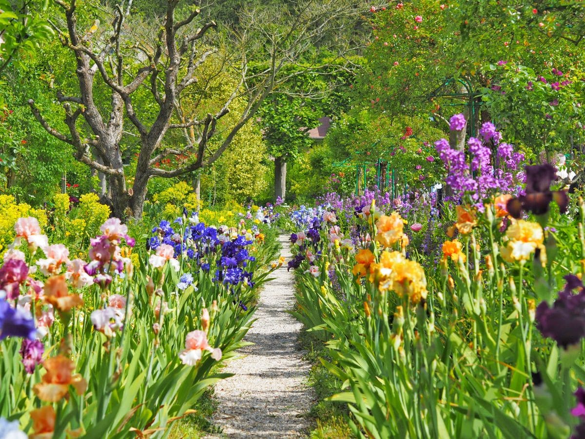iris jardins giverny eure