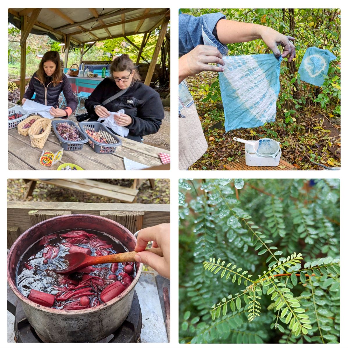 Indigoterie des cevennes image de l'atelier de teinture vegetale
