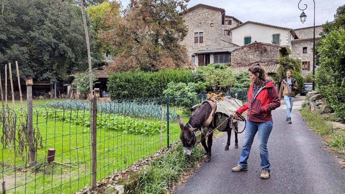 en cours de sortie avec pistou ane de natur anes dans les cevennes