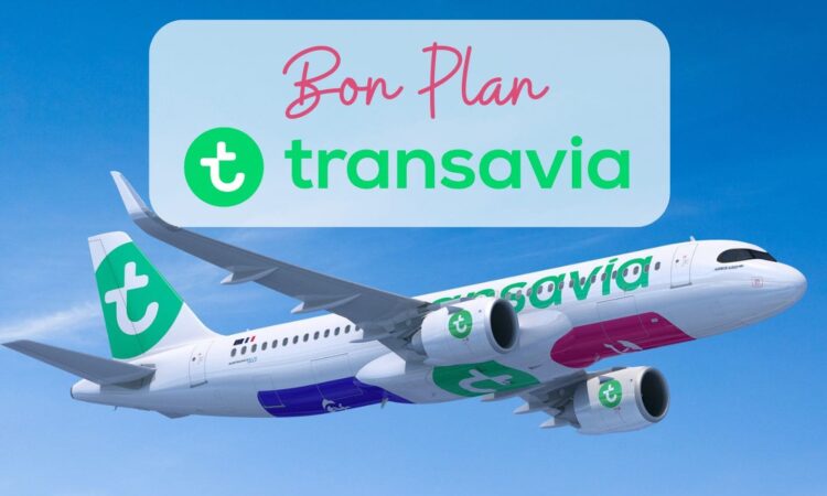 Bon plan Transavia ✈️ : partez cet hiver dès 41€ depuis Paris !