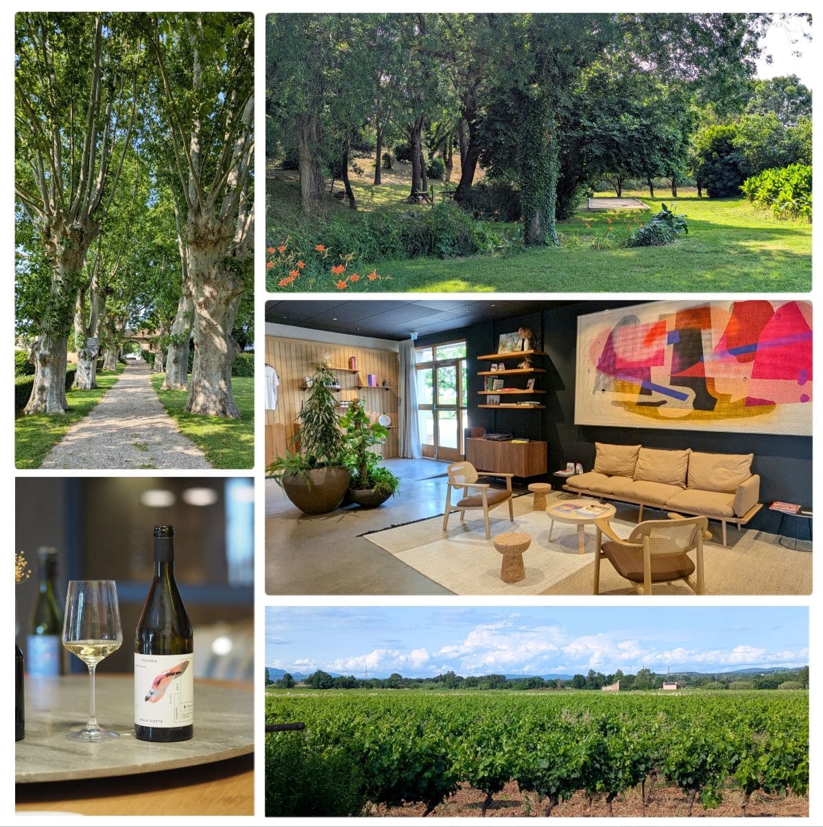 degustation de vins et balade pique nique au domaine de la dourbie