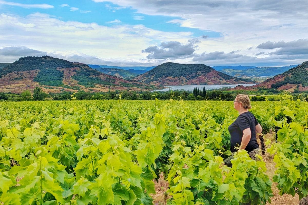 lac du salagou depuis les vignes