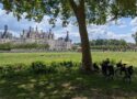Visiter les châteaux de la Loire : mes essentiels pour une première escapade royale