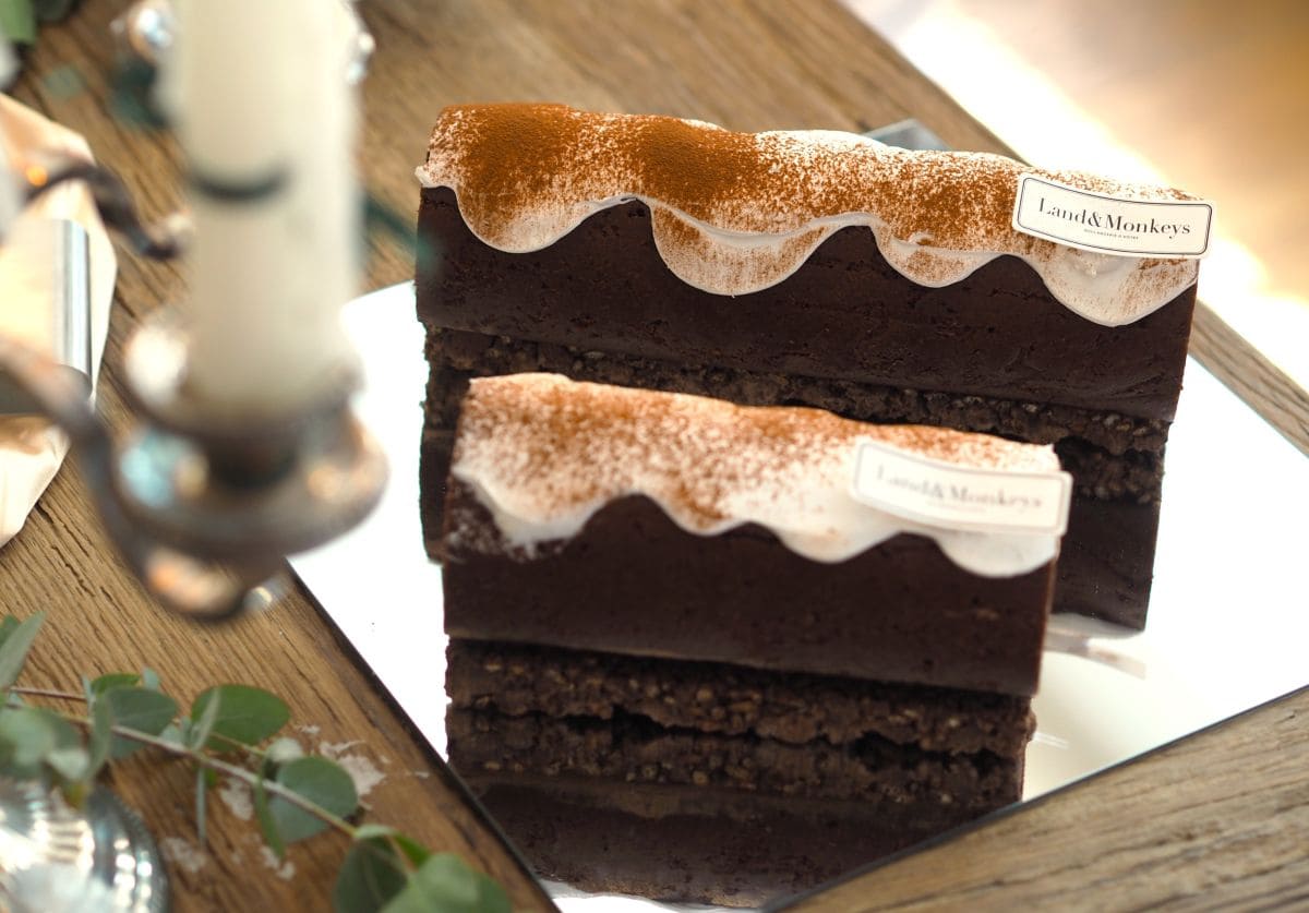 buche chocolat land and monkeys