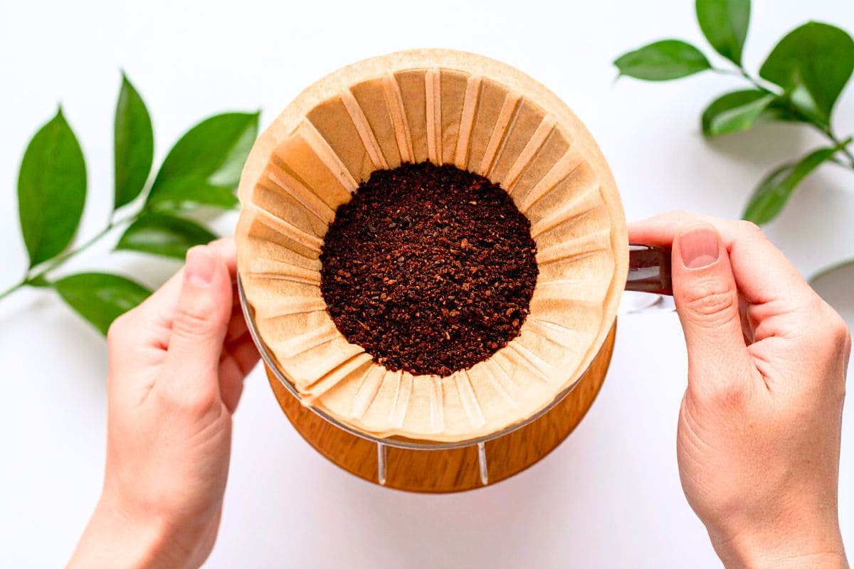 infusion cafe filtre