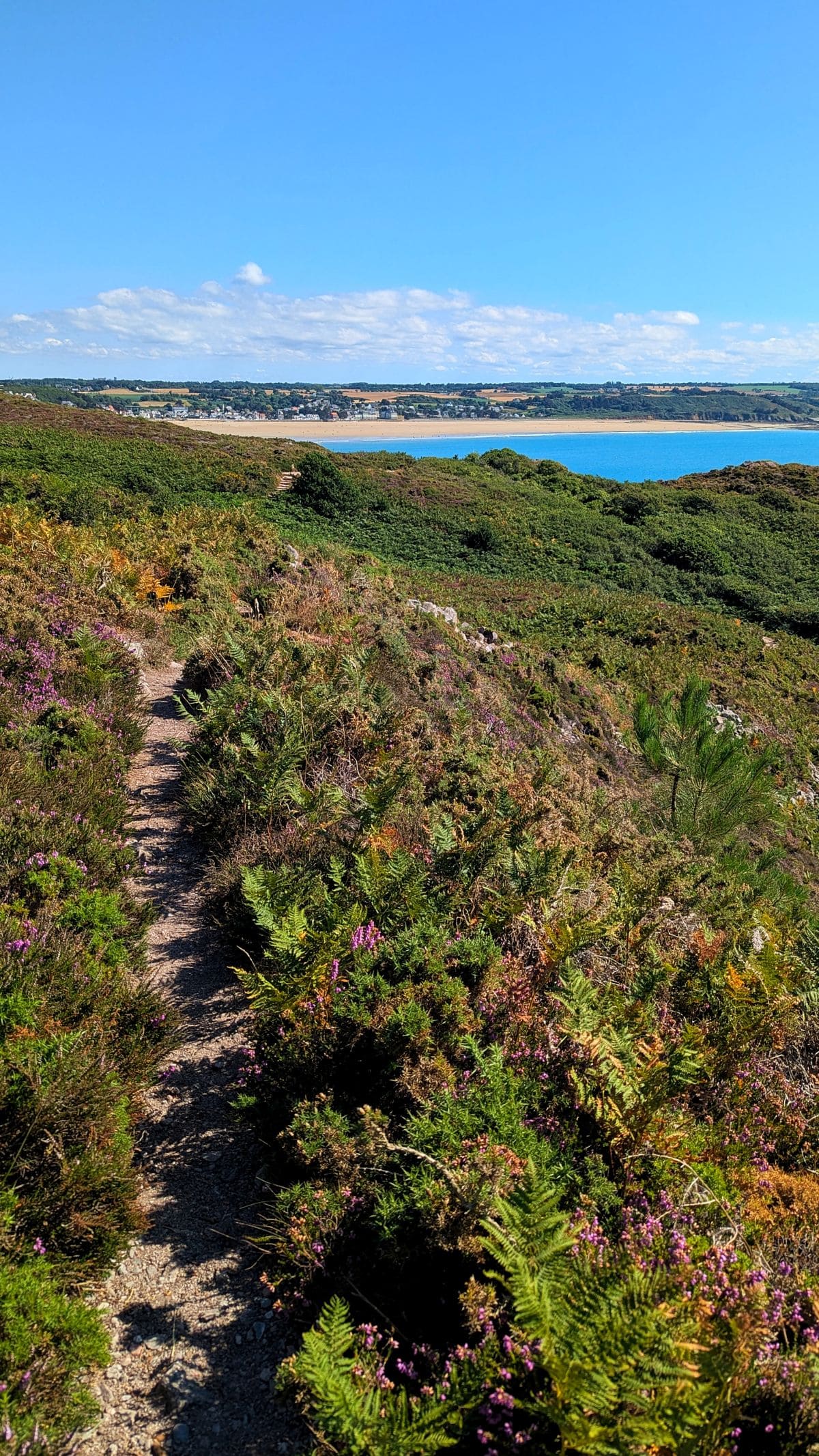sentiers cotiers dans les landes a erquy en bretagne