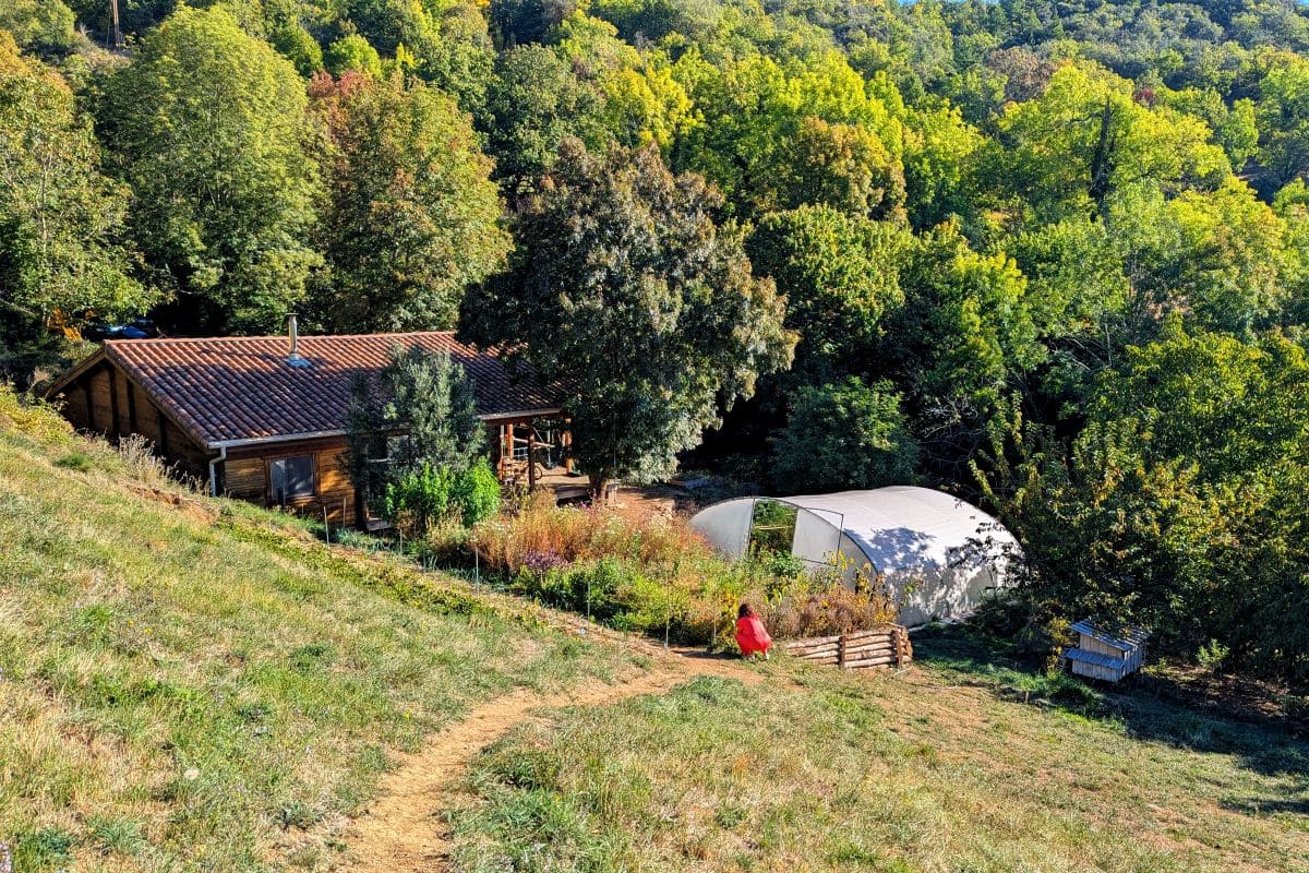 aromates et fleurs cosmestibles liesbet