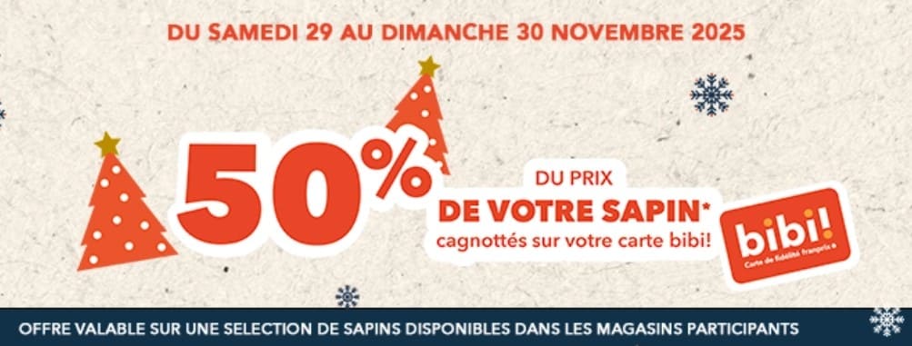 6 bons plans pour sapin de Noël naturel 2025 promotion sapin de noel franprix