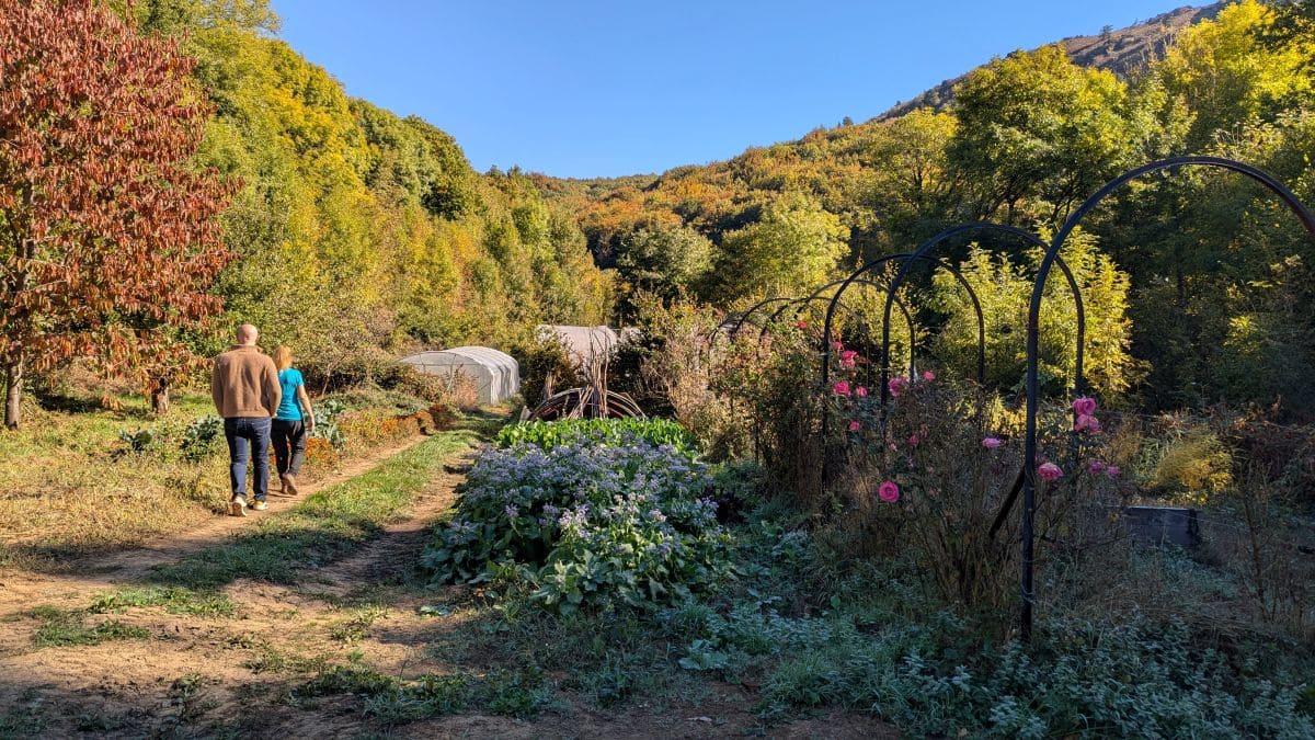 maraicher de la pode