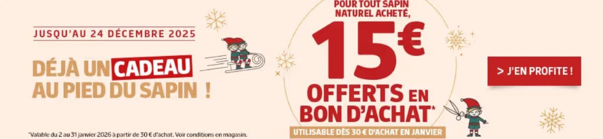 6 bons plans pour sapin de Noël naturel 2025 bon achat sapin de noel jardiland