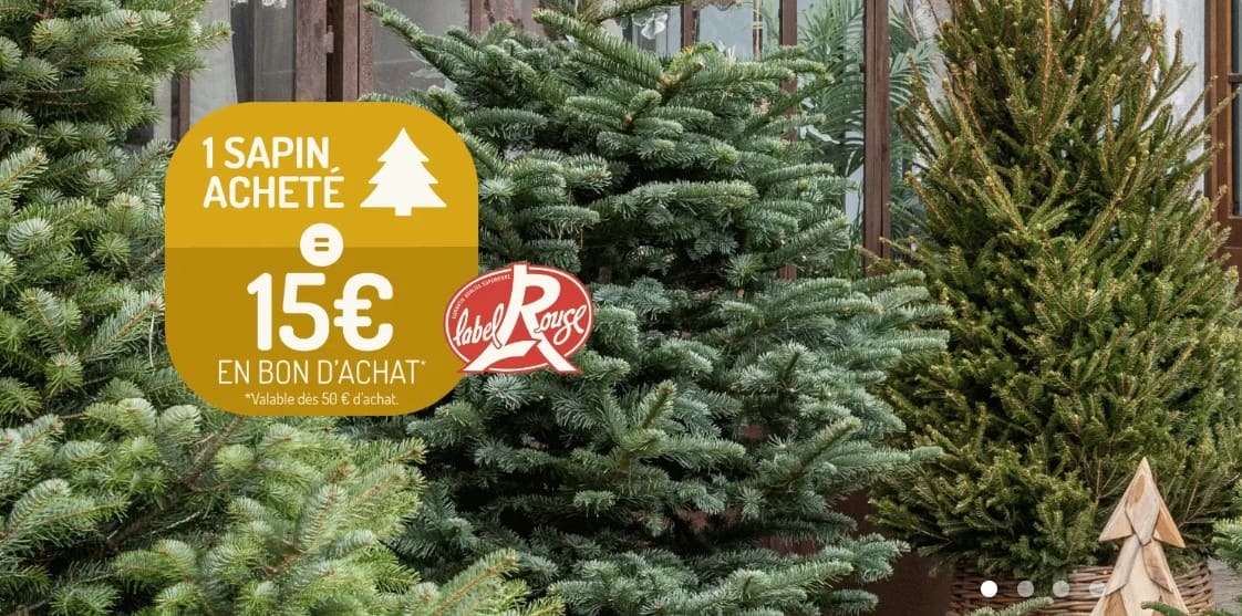 6 bons plans pour sapin de Noël naturel 2025 promo sapin de noel botanic