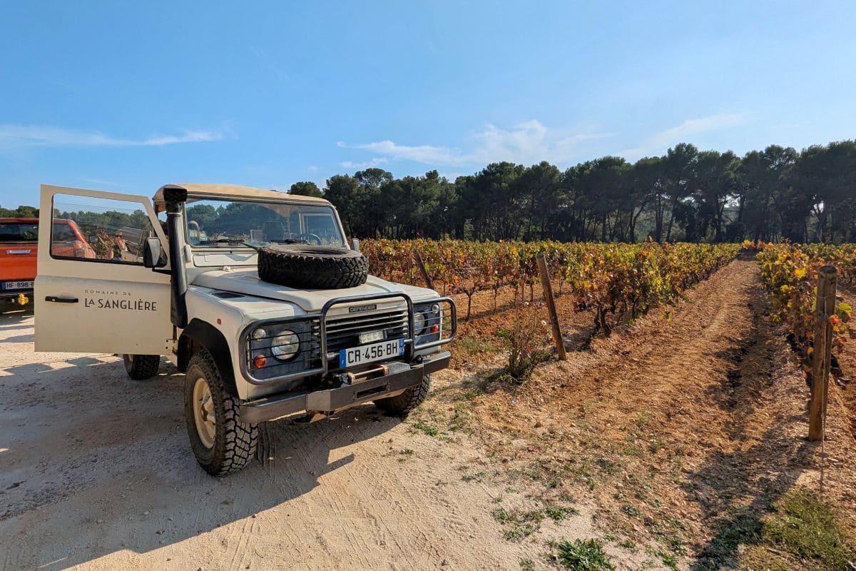 safari 4x4 domaine viticole de la sangliere bormes les mimosas