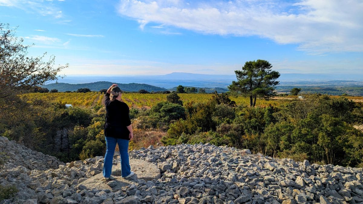 vignes du minervois depuis le sentier des meulières